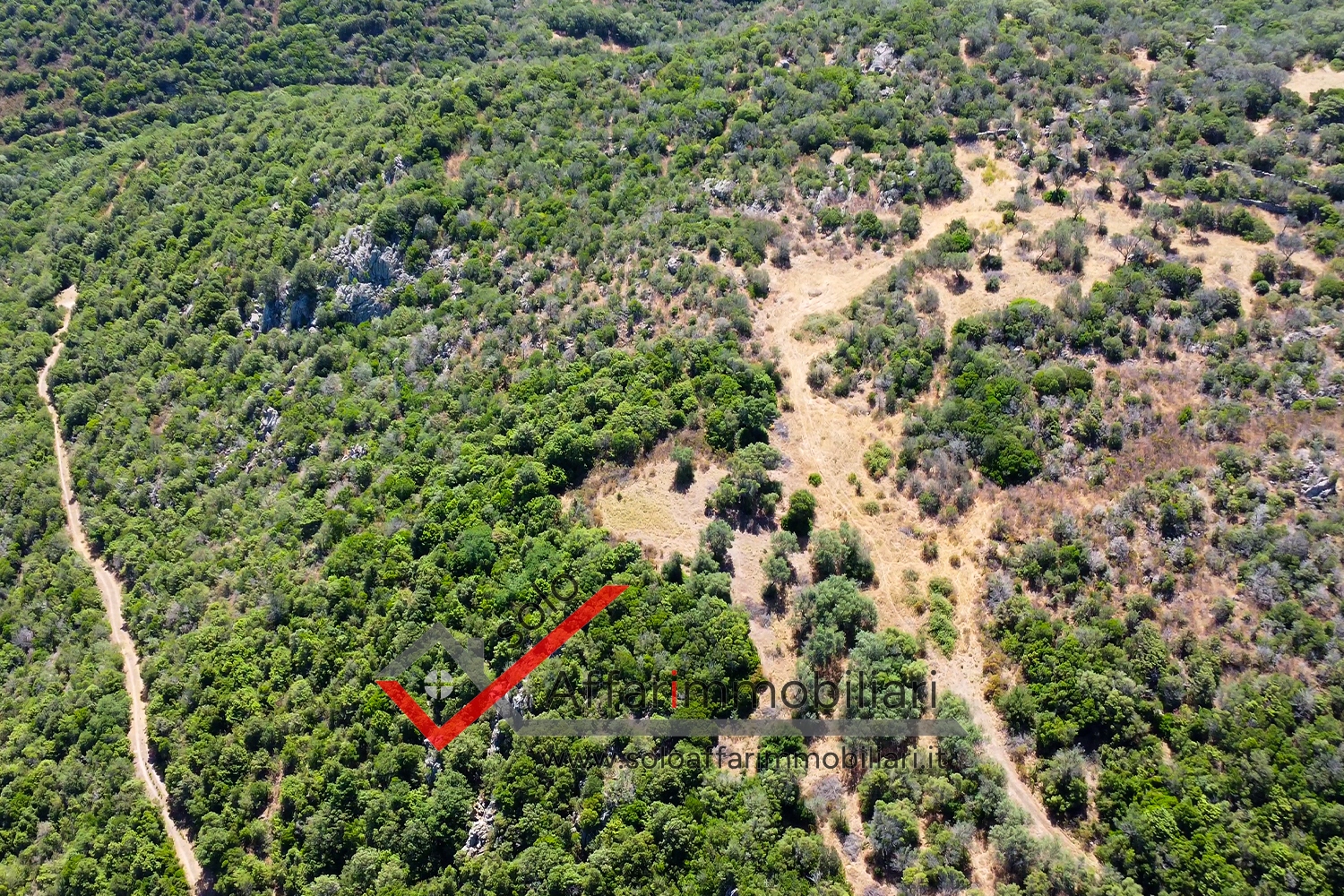 Terreno Agricolo Località Muddizza Piana